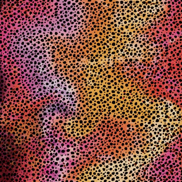 Cricut - 2 Feuilles de Transfert avec Motifs Infusible Ink - Pattern Rainbow Cheetah - (30,5x30,5cm)