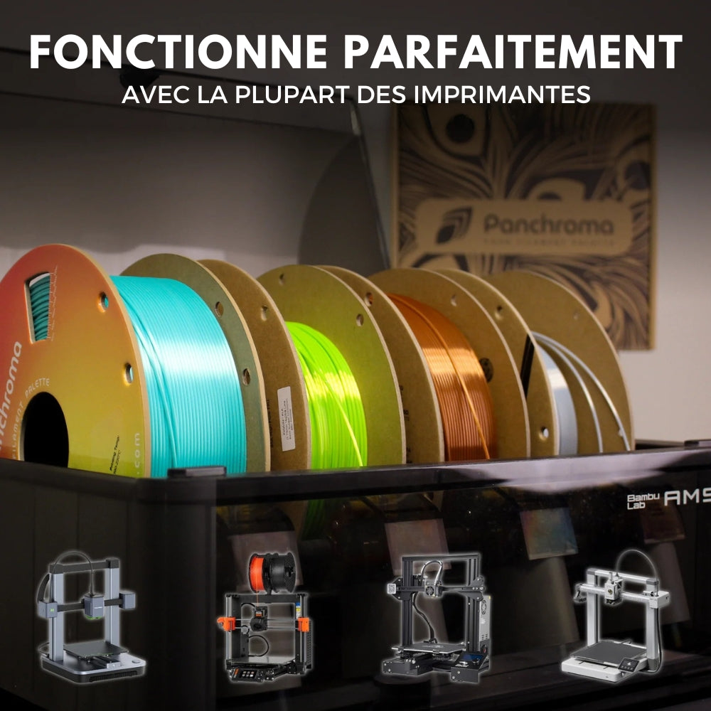 Panchroma PLA Dégradé - Soie Arc-en-Ciel (Gradient Silk Rainbow) - 1,75 mm - 1 kg