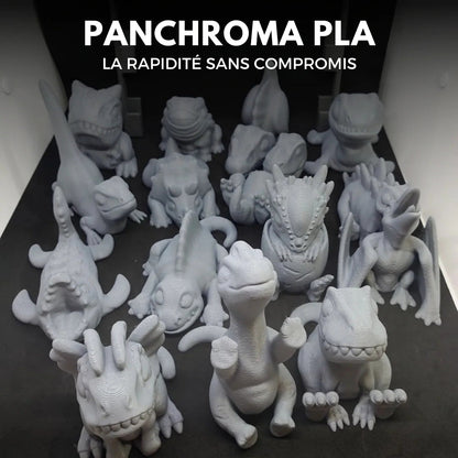 Panchroma Basic PLA - Gris (Grey) - 1,75 mm - 1 kg