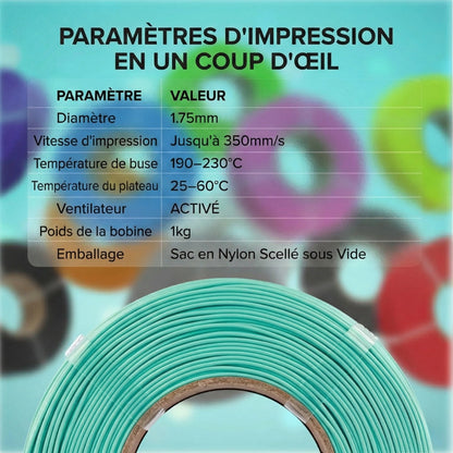 Panchroma Basic PLA - Blanc (White) - 1,75 mm - 1 kg - Refill