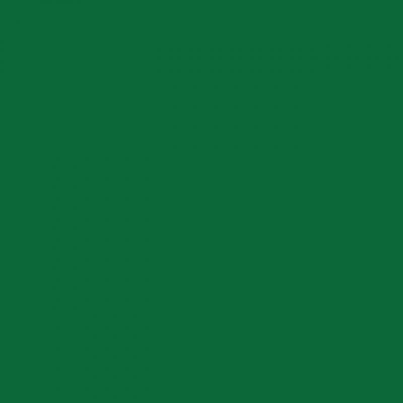 Chemica - Rouleau de Thermocollant de Hotmark Revolution - Vert Foncé (Dark Green) -  30 cm x 5 m